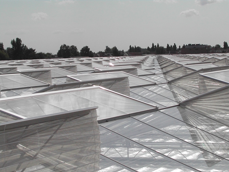 Insect-Screens-Venlo-CMW-Horticulture-web